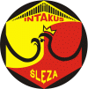 Ślęza Wrocław