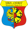 Logo klubu - Odra Wodzisław Śląski SA